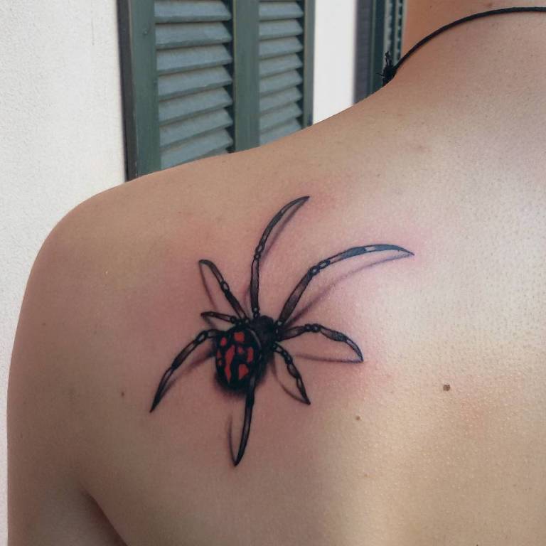 Тату паук на спине