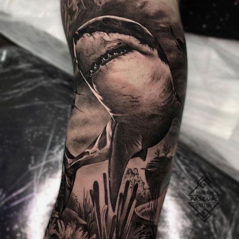что означает тату акула на руке