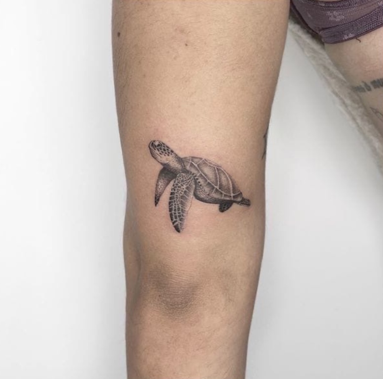 морская черепаха тату значение
