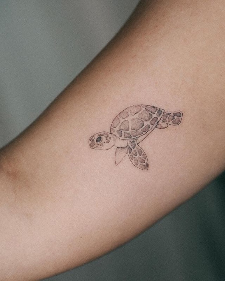 морская черепаха тату