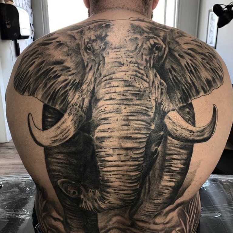 тату слон на спине